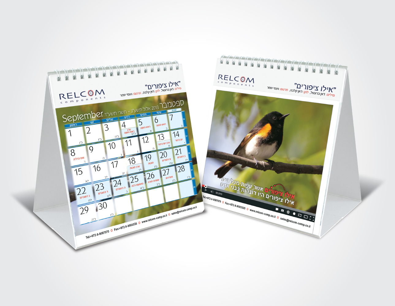 עיצוב לוח שנה משולש שולחני 2013-2014 עבור רלקום רכיבים בדיוק כמו שאת רוצה לשיווק העסק שלך